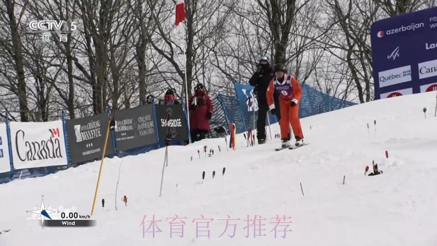 孙佳旭获得自由式滑雪世界杯博波尔站亚军